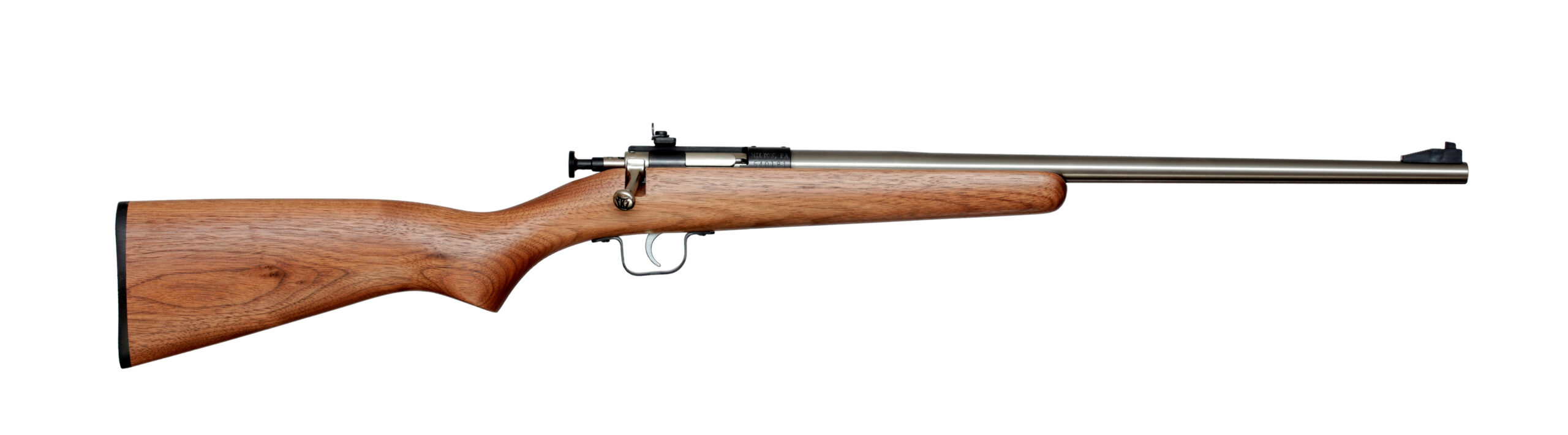 Davey Crickett Crickett 22 LR Youth Rifle Walnut/Stainless